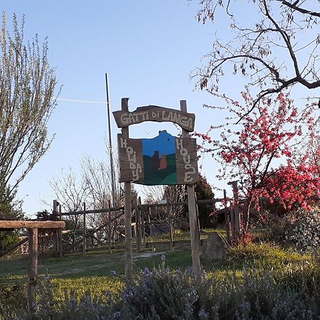 Gatti Di Langa Villa Доляни Екстериор снимка