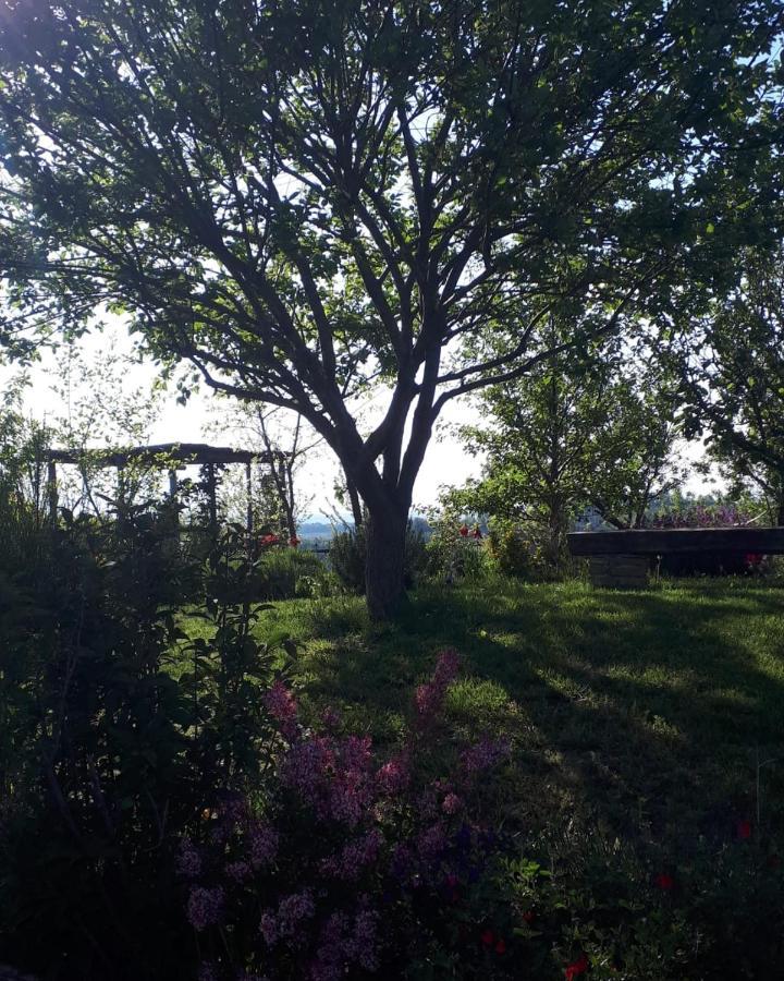 Gatti Di Langa Villa Доляни Екстериор снимка