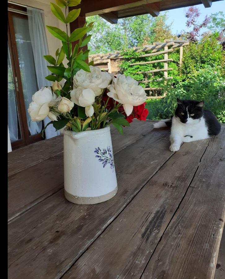 Gatti Di Langa Villa Доляни Екстериор снимка